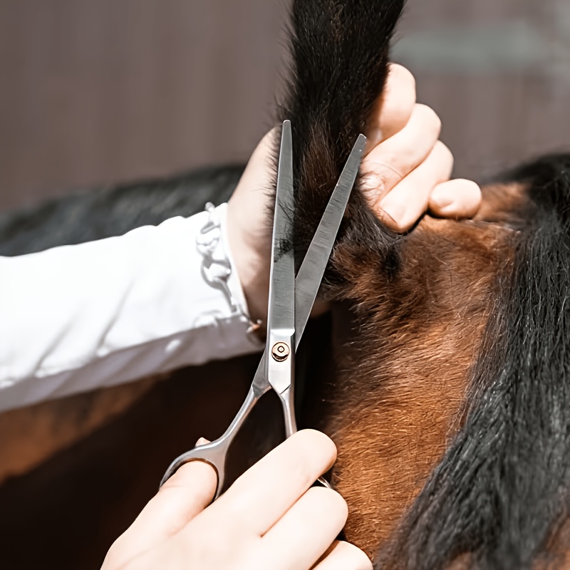 Grooming Kit Horse - Set di Strumenti per la Toelettatura