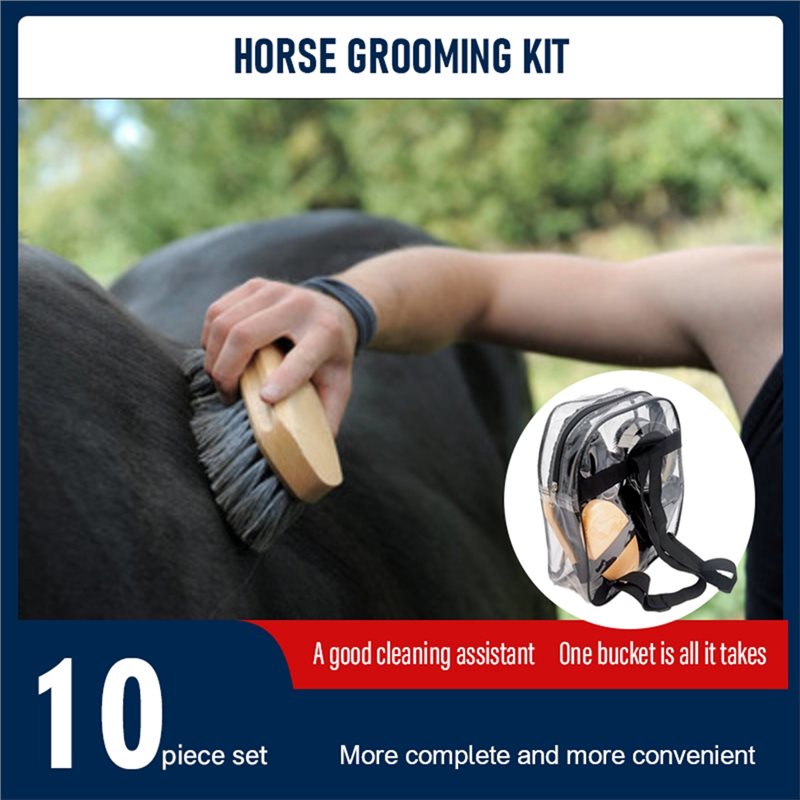 Kit per la cura del cavallo (1 - Grooming Kit Horse recensione e prezzo
