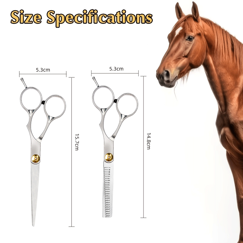 Set di Strumenti per la Toelet - Grooming Kit Horse recensione e prezzo
