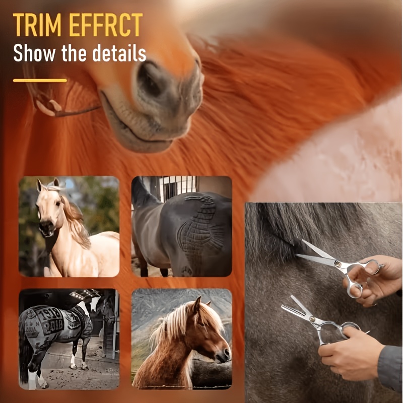 Set di Strumenti per la Toelet - Grooming Kit Horse recensione e prezzo