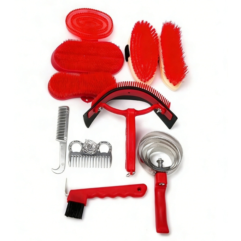 Strumento professionale per to - Grooming Kit Horse recensione e prezzo