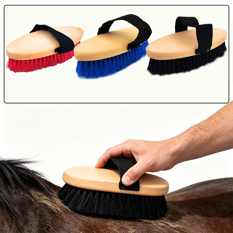 Spazzola Ellittica per la Cura - Grooming Kit Horse recensione e prezzo